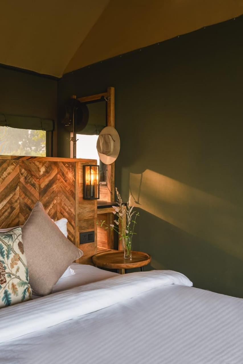 Hotel Trees N Tigers, Tadoba Kolāra Zewnętrze zdjęcie