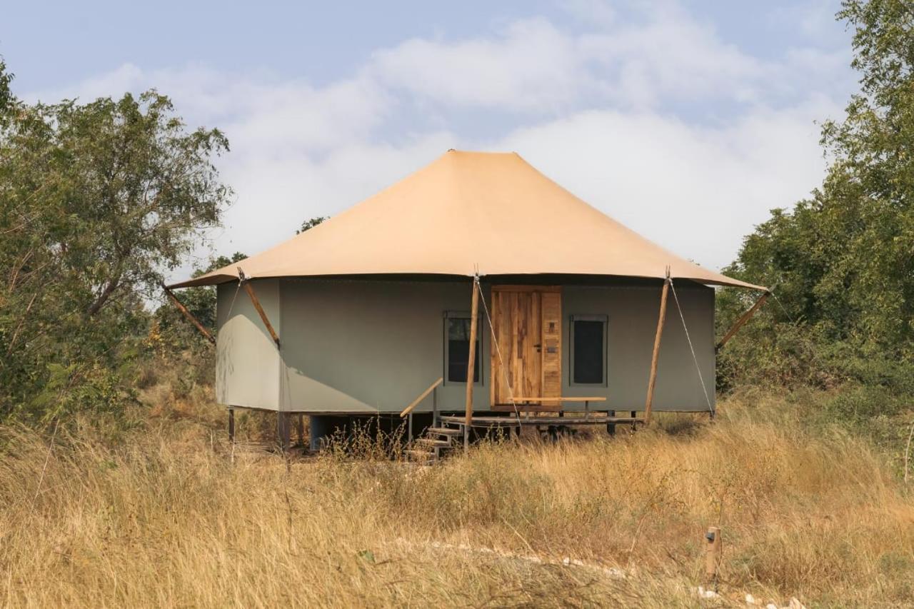 Hotel Trees N Tigers, Tadoba Kolāra Zewnętrze zdjęcie