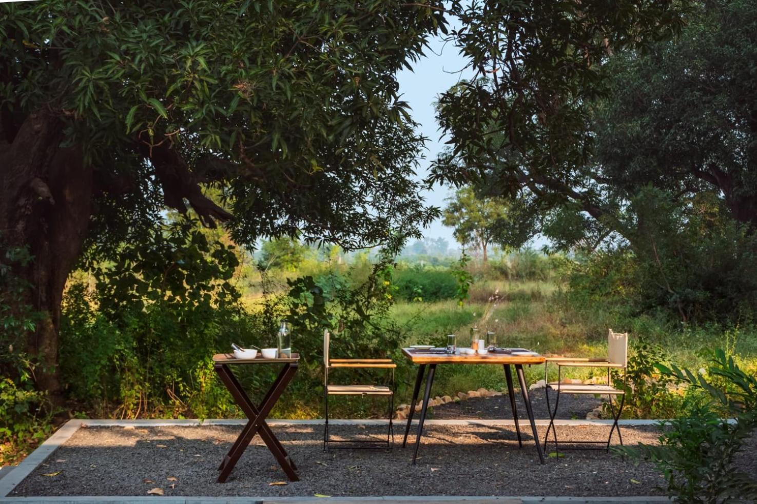 Hotel Trees N Tigers, Tadoba Kolāra Zewnętrze zdjęcie