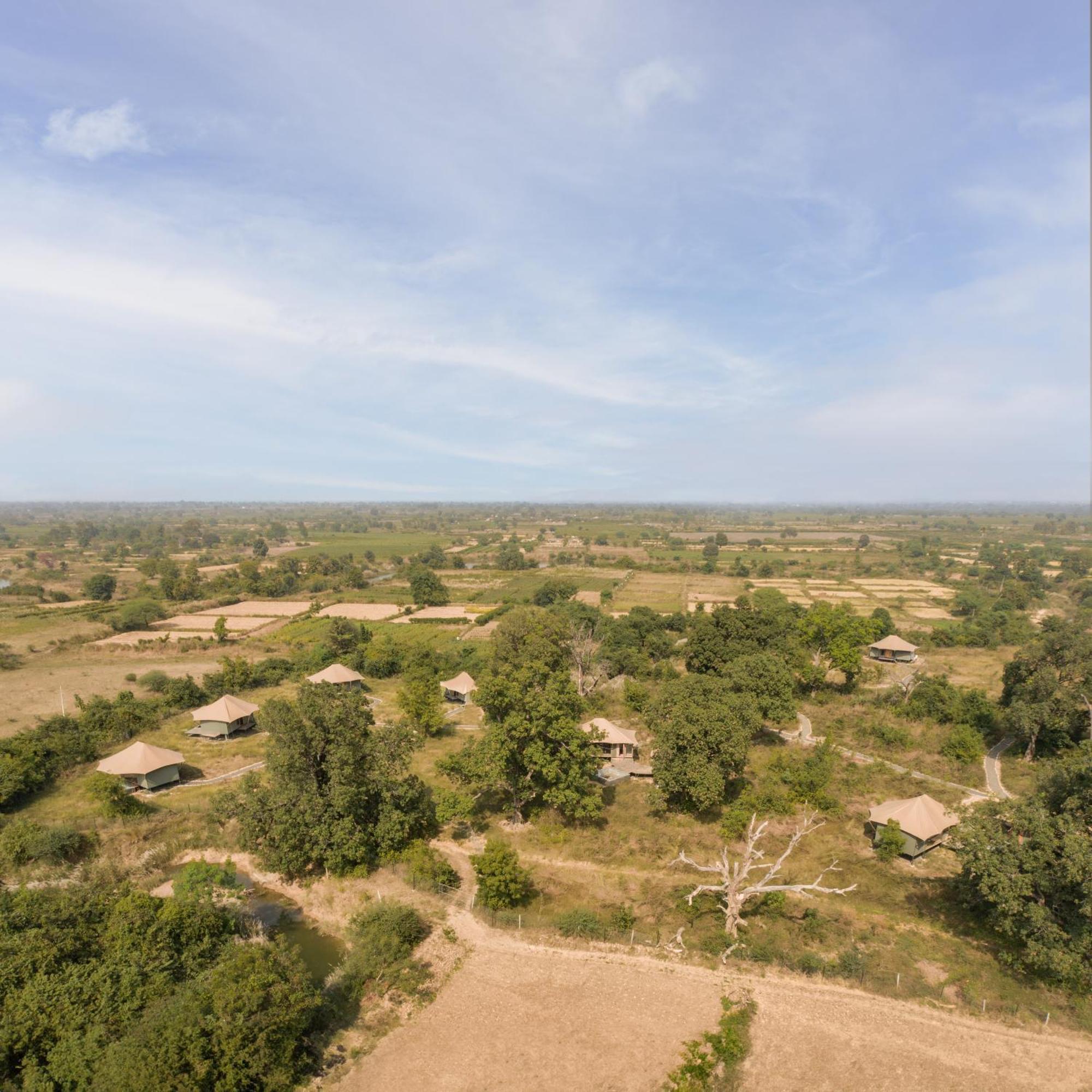 Hotel Trees N Tigers, Tadoba Kolāra Zewnętrze zdjęcie
